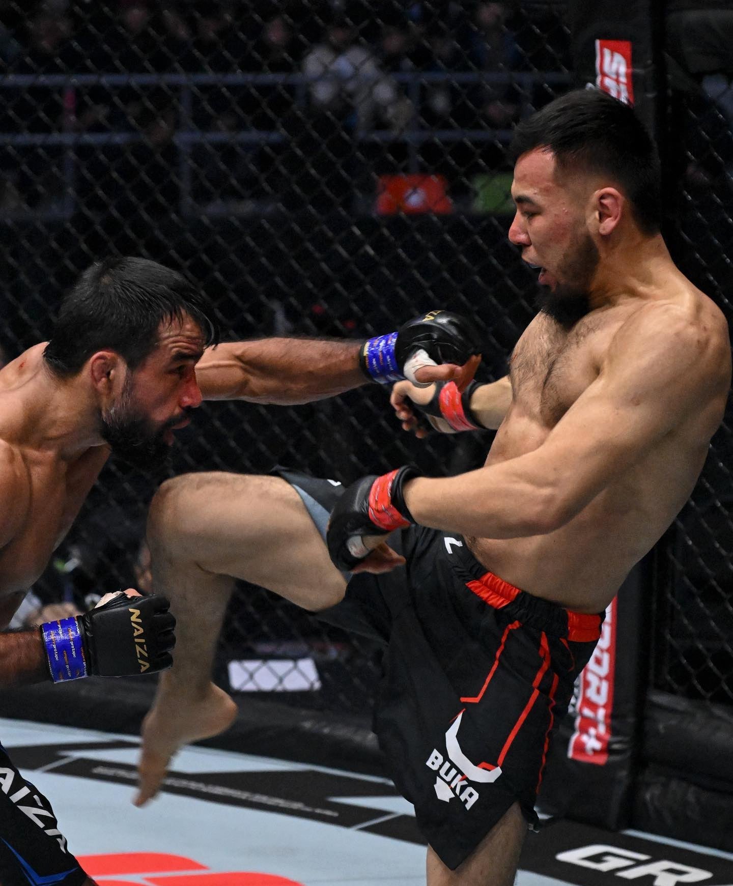 MMA & MUAY THAI