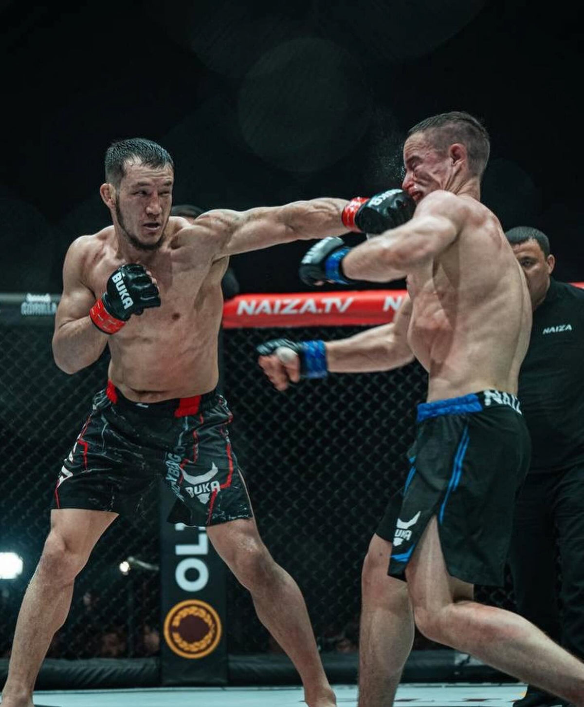FIGHT